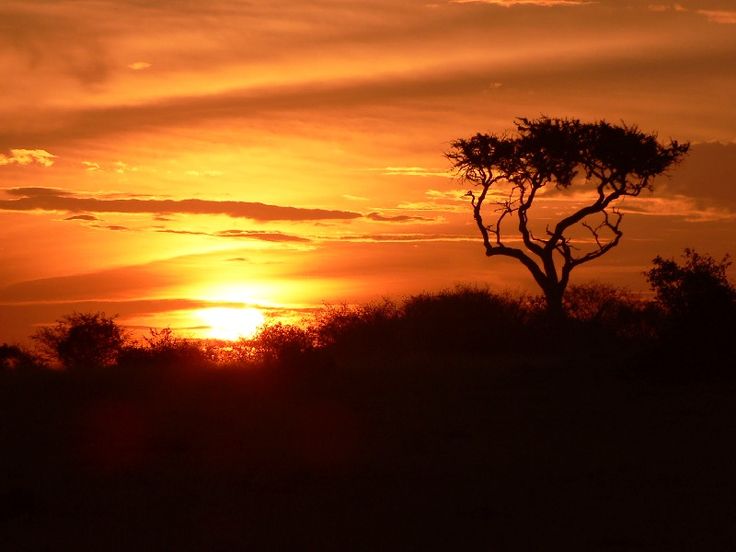 7-Day Luxurious Adventure to the Wildlife Prolific Parks